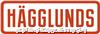 HAGGLUNDS金牌CA径向柱塞液压马