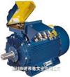 MarelliMotori电机